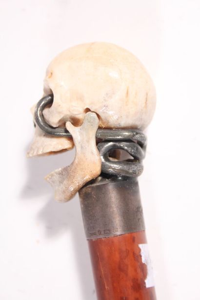 null English cane memento mori, the shaft in burr, the ring in silver, the pommel...