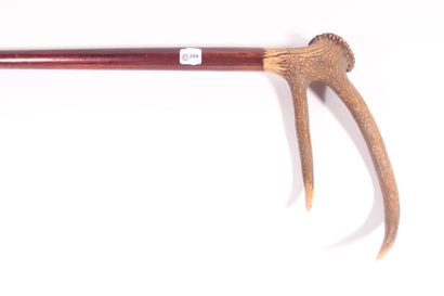 null Cane, wooden shaft, double stag horn pommel. Length 96,5 cm.