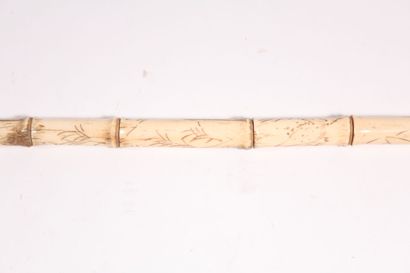 null Beautiful asian cane in carved bone like bamboo, the pommel with openwork water...