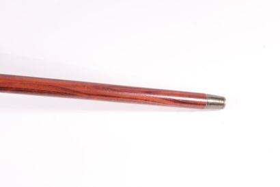 null Cane called "incredible head", the shaft in exotic wood, the ring in silver,...