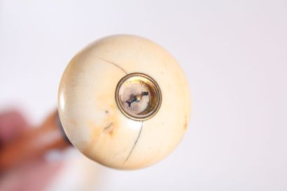 null Cane, pommel in ivory decorated with a compass, shaft in Malacca rush. End of...