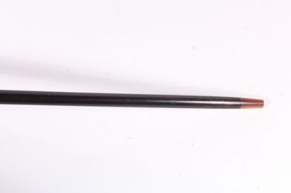 null Long cane, the shaft in black wood, round knob in cloisonné enamel with polychrome...