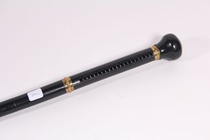 null Austrian cane musical instrument in black wood, two brass rings, harmonica in...