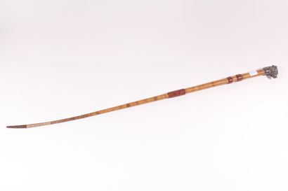 null Whip, the shaft sheathed with snake skin and braided leather rings, the pommel...