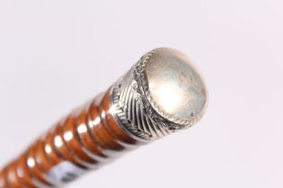 Cane, the shaft in ringed wood, knob in silver...