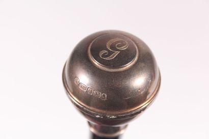Cane, the pommel ball circled and engraved...