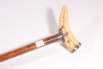 null English walking stick, the shaft in wood, the ring in cut silver, the pommel...
