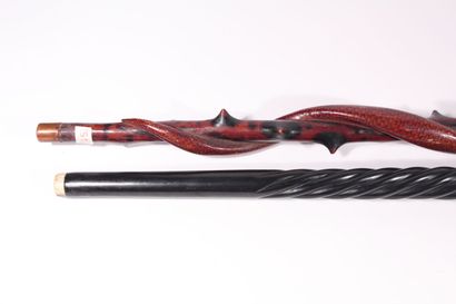 null Monoxyle cane in painted wood carved with a snake, a lizard and a mouse, African...