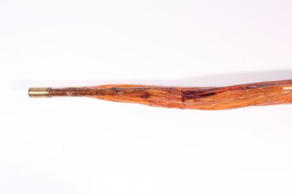 null Cane corbin in segments of varnished ox nerve. Length 91,5 cm.