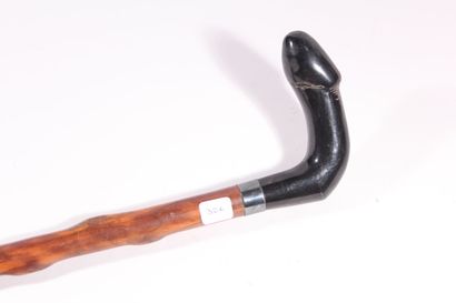 null Erotic cane, the shaft in gnarled wood, silver ring, the pommel square horn...