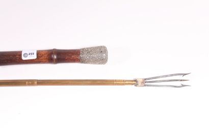 Cane-trident, shaft in bamboo, silver pommel...