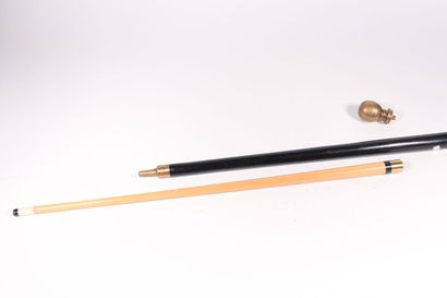 Cane with black wood system retracting a...