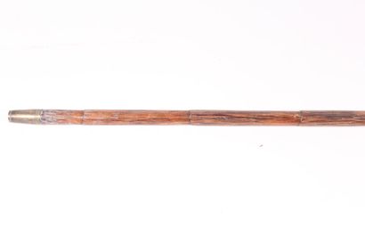 null Asian cane, the shaft in rattan, the knob in silver curved and turned forming...