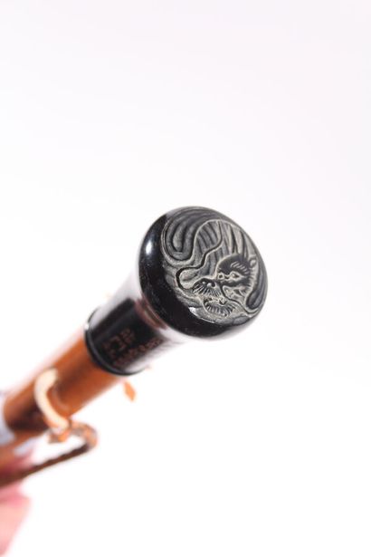null Asian cane, the shaft in Malacca rush, flared pommel in black wood engraved...