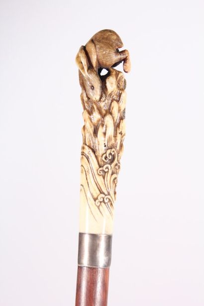 null Asian cane, the shaft in exotic wood of two tones, knob milord in carved bone...