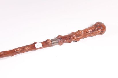 Monoxyle cane in wood of hawthorn (split),...