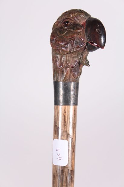 Cane, the pommel with head of parrot in painted...