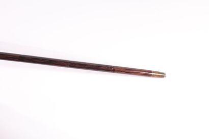 null Cane, bamboo shaft decorated with a brass ring then with enamelled floral decoration,...