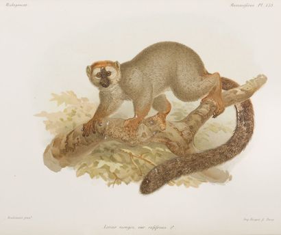 null Madagascar - exemplaire de Grandidier
GRANDIDIER (Alfred)
Histoire Physique,...