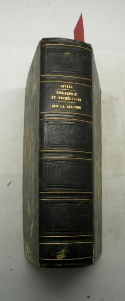 null GIRONDE -MELANGES

Ouvrage regroupant 40 publications sur la Gironde de 1789...