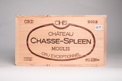 null Château Chasse-Spleen - 2012 Moulis - 12 blles