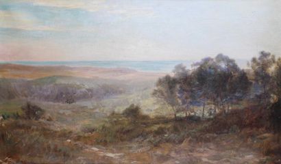 null LOUIS-AUGUSTIN AUGUIN (1824-1903)

Les Arros, Soulac, 1893 

Huile sur toile,...