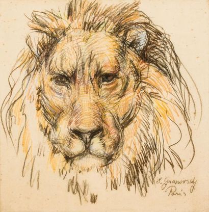 null SAM GRANOVSKY (1889-1942)Tête de lionDessin au fusain et pastel, signé en bas,...