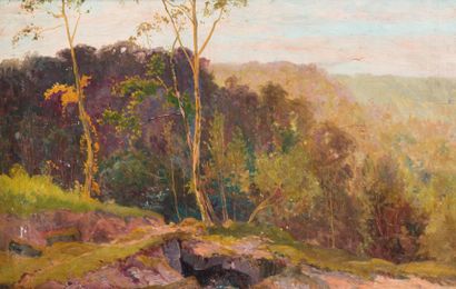 null Léon BAROTTE (1866-1933)Paysage d'automneHuile sur toile, signée en bas à gauche41...