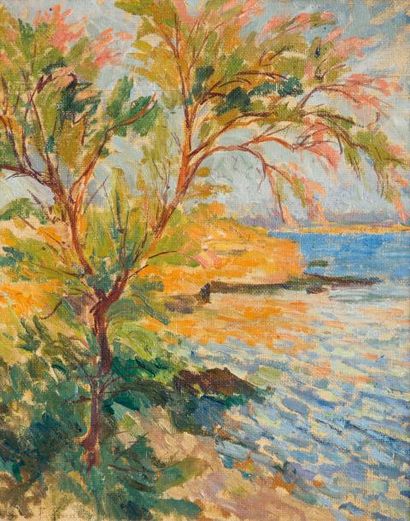 null Fernand PINAL (1881-1958)Royan, tamaris au soleil couchant, 26 septembre 1931l'arbre...