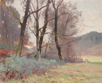 null Raoul DOSQUE (1860-1939)L'hiver à FloiracHuile sur toile, signée et titrée au...