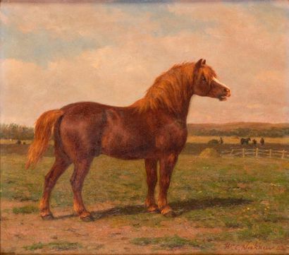 null w Willem Karel NAKKEN (1835-1926) Cheval au pré Huile sur toile, signée en bas...