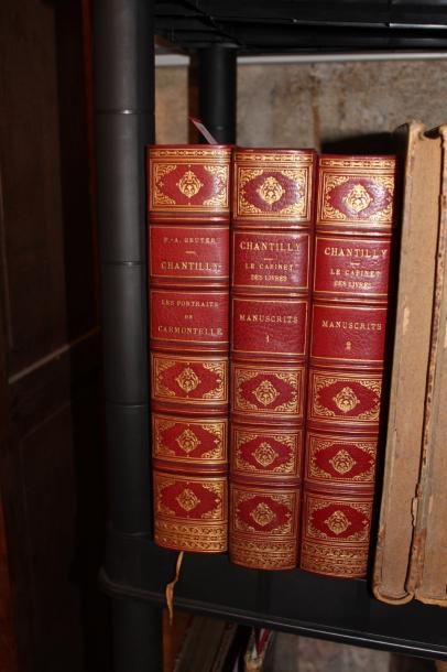null CHANTILLY (Musée)

Chantilly. Le Cabinet des Livres. I/ Manuscrits : théologie,...