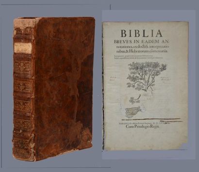 null [ROBERT ESTIENNE]

Biblia breves in eadem annotationes, ex doctis interpretationibus,...