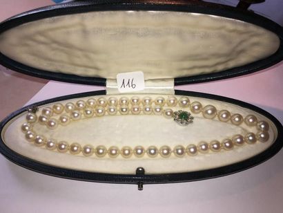 null Dans un écrin ovale noir : collier perles de culture, fermoir or gris (poinçon...