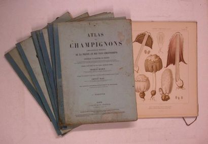 null RICHON (Charles) : Atlas des Champignons Comestibles et Vénéneux de la France...