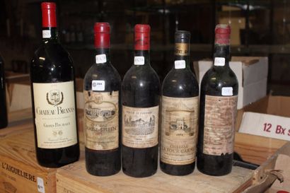 null 398 / Château Branas - 1975 - Moulis - 1 mag ; Château Chasse Spleen - 1973...