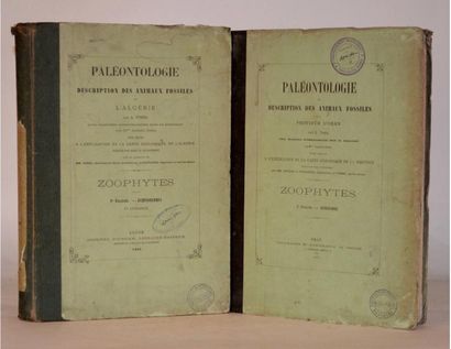 null POMEL (A.) Réunion de deux volumes de l'auteur : - 1/ Paléontologie ou description...