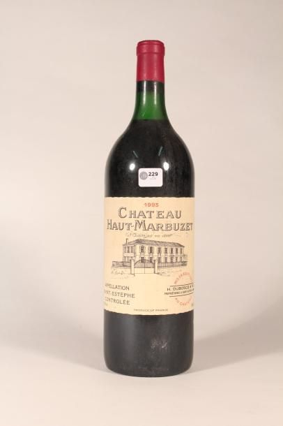 null 229 

Château Haut Marbuzet 1993 

Saint Estèphe (rouge) - 1 mag. 
