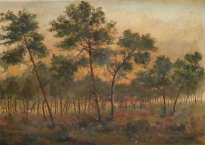 null Attribué à Augustus B KOOPMAN (1869-1914)

Bois du Four, oct. 1908.

Huile sur...