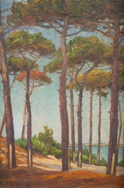 null Julien CALVE (1851-1924)

Les pins, 1910.

Huile sur toile marouflée sur carton.Signée...