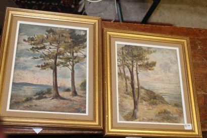 null Antoinette DESCHAMPS, "Vues du Bassin d'Arcachon" , deux huiles sur papier....