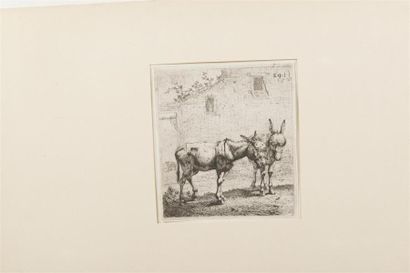null KAREL DUJARDIN (1626 - 1678)Page de titre, Les deux Anes, Porcs endormis Arbres...