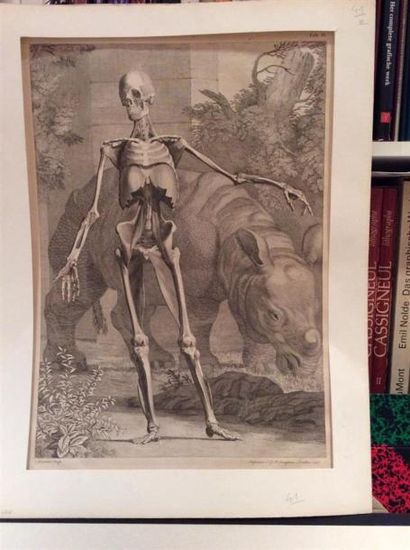 null CHARLES GRIGNION (1717 - 1810)Squelette et Rhinocéros, planches IV et VIII de...