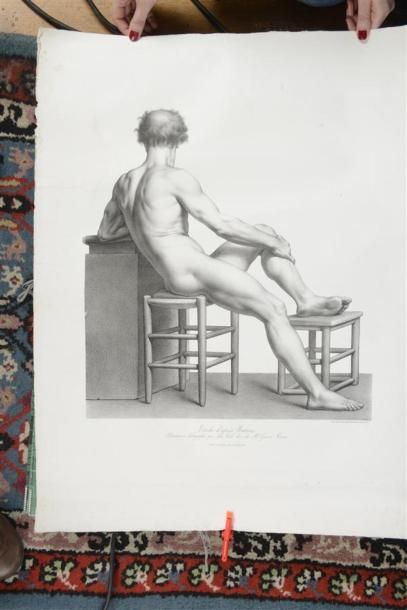 null EDMEE BOUCHARDON (1698 - 1762) D'APRES ET AUTRES ARTISTESEtudes d'Anatomie,...