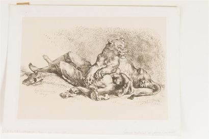 null EUGENE DELACROIX (1798 - 1863)LIONNE DECHIRANT LA POITRINE D' UN ARABE.Vernis...