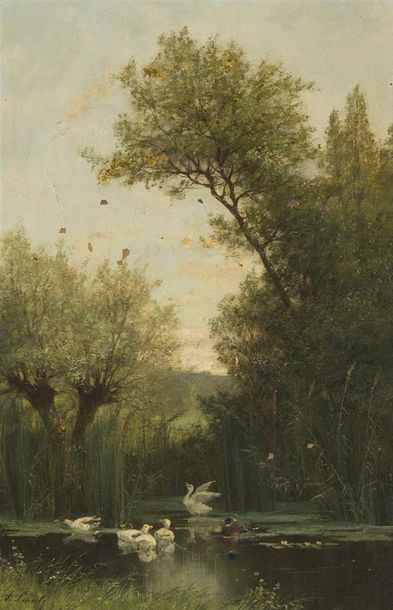 null Adrien SCHULZ (1851-1931)La Mare aux canardsHuile sur toile signée en bas à...