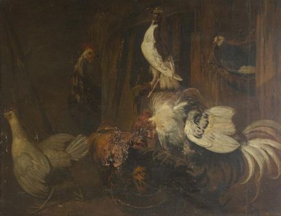 null ATTRIBUE A JACOBUS VICTORS (1640-1705)Coqs et poules dans un poulailler Toile...