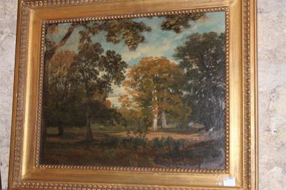 null Ecole Moderne, "Clairière", huile sur toile signée en bas à droite "A. VERON"...