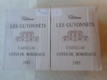 null 2015 - Ch. Les Guyonnets Cadillac-Côte de Bordeaux
Cuvée Spéciale « Concours...