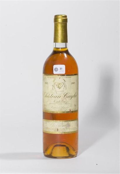 null 1995 - Château Cayla
Cadillac Côtes de Bordeaux - blanc - 1 blle